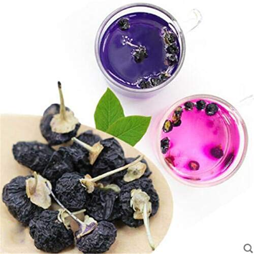 Chinesischer Kräutertee Getrocknete Lycii-Wolfsbeere Wilder schwarzer Goji-Beerentee Neuer duftender Tee Grüner Tee Blumentee Hochwertiges grünes Essen (500g) von HELLOYOUNG