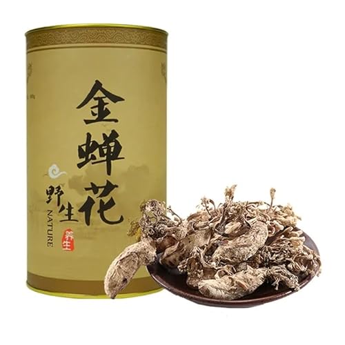 Goldene Zikadenblume/Isaria cicadae Miq Großer Cordyceps Sinensis 100g von HELLOYOUNG