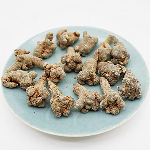 HELLOYOUNG 500g chinesischer Bio-Sanqi-Kräutertee Grünes Lebensmittel mit natürlicher Essenz Erfrischender und wohltuender Geschmack (50 pcs) von HELLOYOUNG