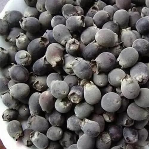 HELLOYOUNG Chinesischer natürlicher aromatischer Bio-Kräutertee Altes traditionelles Rezept Grünes Lebensmittel voller Frische und Duft (250g) von HELLOYOUNG