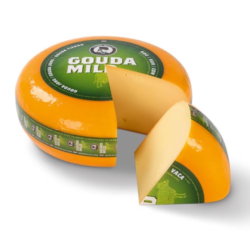 Henri Willig Gouda Jung Rad 48+ von HENRI WILLIG