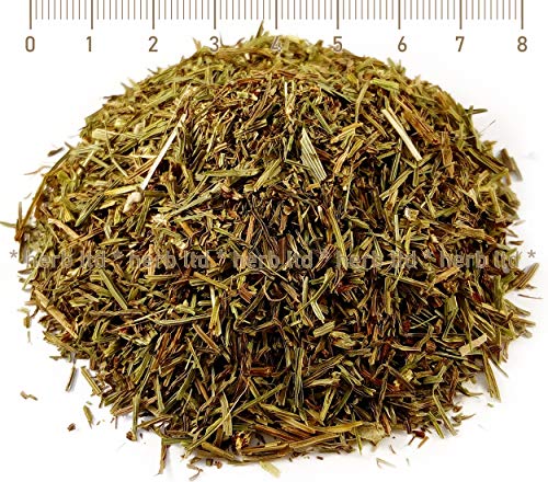 Schachtelhalm-Tee, Schachtelhalmkraut, Herba Equiseti Arvense L., Kräuter Stängel von HERB TM