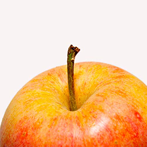 Lebensmittelaroma I Apfel / Coxorange I 10 ml - Made in Germany Lebensmittelaroma I Apfel / Coxorange I 10 ml - Made in Germany von HERRLAN PSM