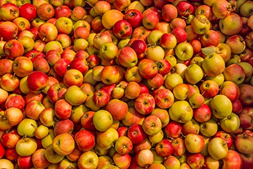 Lebensmittelaroma I Apfel / Most I 10 ml - Made in Germany Lebensmittelaroma I Apfel / Most I 10 ml - Made in Germany von HERRLAN PSM