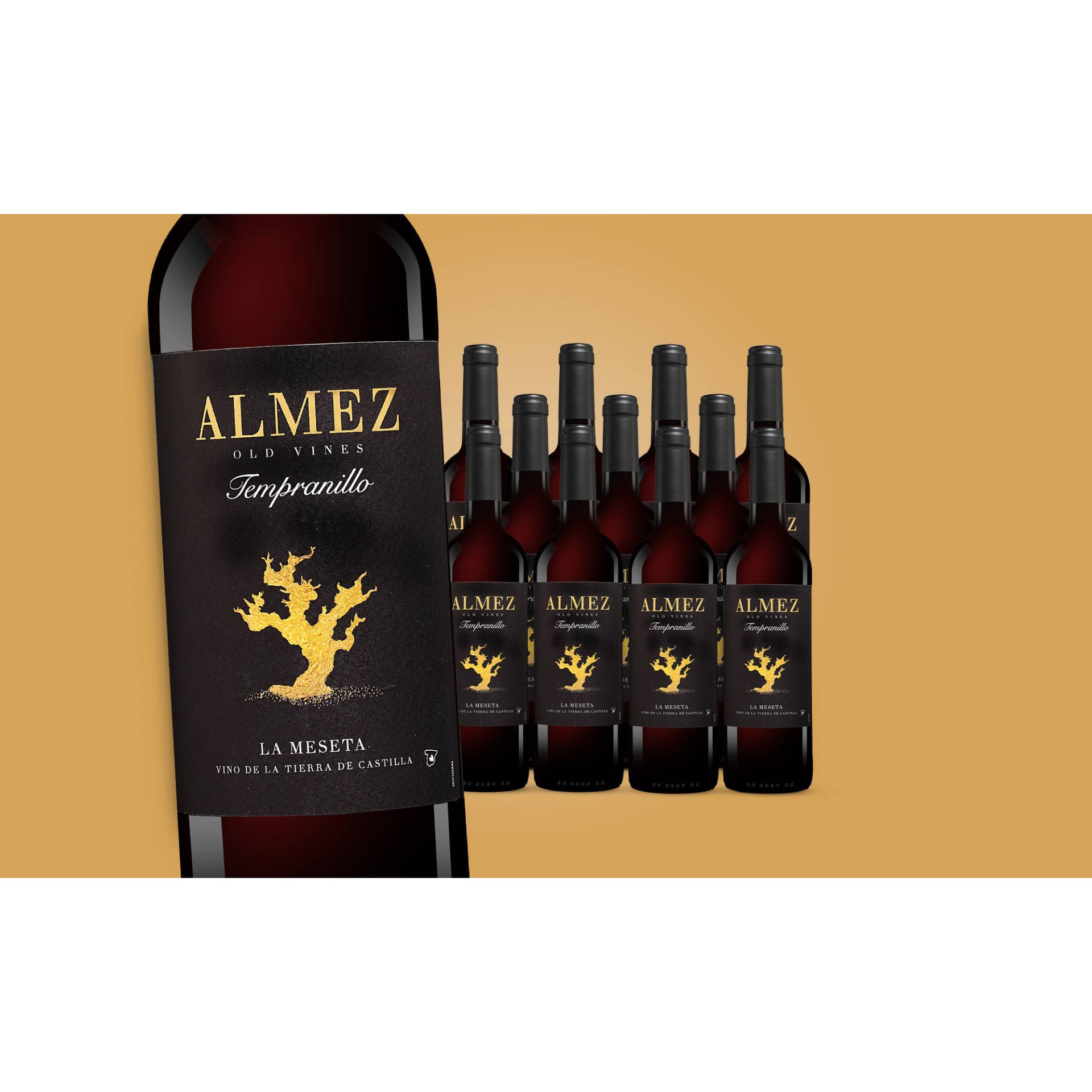 Almez Tempranillo 2023  9L 13.5% Vol. Weinpaket aus Spanien von Hammeken Cellars