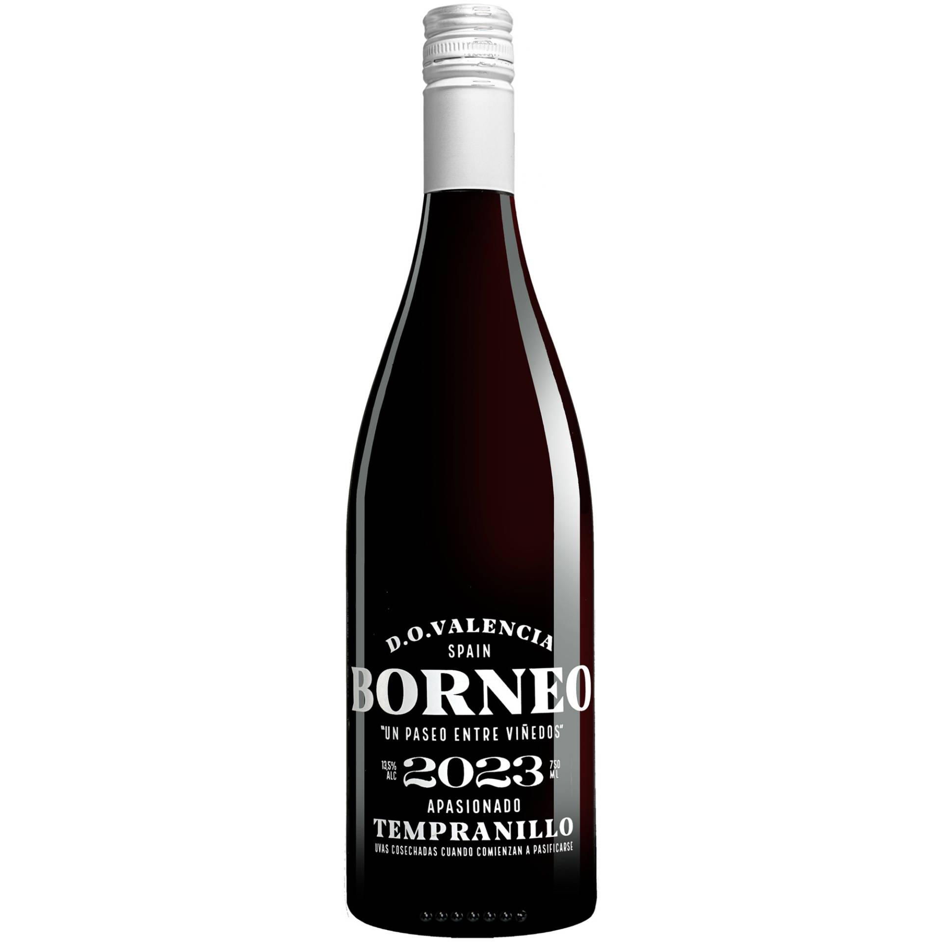 Borneo Apasionado 2023 0.75L 13.5% Vol. Rotwein Halbtrocken aus Spanien Borneo Apasionado 2023 0.75L 13.5% Vol. Rotwein Halbtrocken aus Spanien von Hammeken Cellars