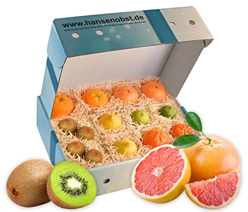 Hansen Obst - Geschenkbox - fruchtige Obst-Box - “Vitamin-C-Box” - Präsentkorb - Obst-Geschenkset - gefüllte Obstkiste - Obstbox mit frischem Obst "Die Himmelblaue" von Hansen Obst