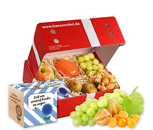 Hansen Obst - Glücksmomente Geschenkbox - fruchtige Obst-Box - “Danke” - Präsentkorb - Obst-Geschenkset - gefüllte Obstkiste - Obstbox mit frischem Obst (Die Klassische) von Hansen Obst