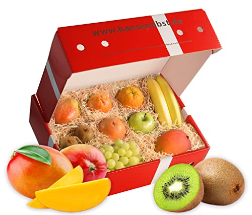Hansen Obst - Geschenkbox - fruchtige Obst-Box - “Fruchtmix” - Präsentkorb - Obst-Geschenkset - gefüllte Obstkiste - Obstbox mit frischem Obst "Die Klassische" von Hansen Obst