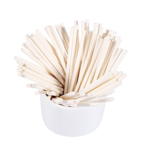 Bunte Lollipop Sticks, 100 Stücke Kuchen Pop Sticks aus Papier, Cake Pop Stiele, Candy Sticks für Cupcake, Süßigkeiten, Gelee und Schokolade, Weiß von Haofy