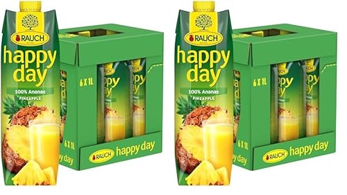 Rauch Happy Day Ananas | tropische Geschmacksexplosion | aus 100% Ananassaftkonzentrat | 6x 1l Tetra Prisma (Packung mit 2) von Happy Day