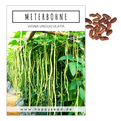 Meterbohne Samen (Vigna unguiculata, 20 Korn) - Spargelbohnen Saatgut ideal für die Anzucht im Garten, Balkon oder Terrasse von HappySeed