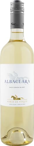 Haras de Pirque Albaclara Sauvignon Blanc Gran Reserva 2023 (1 x 0.75 l) von Haras de Pirque