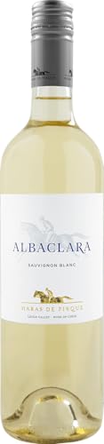 Haras de Pirque Albaclara Sauvignon Blanc Gran Reserva 2023 (1 x 0.75 l) von Haras de Pirque