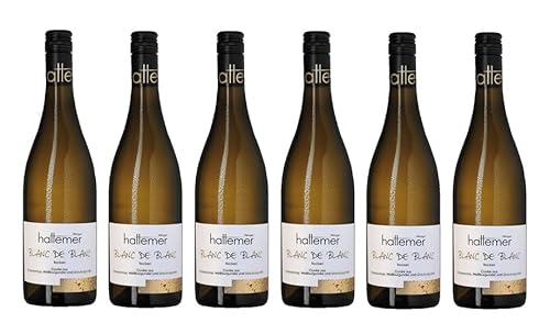 6x 0,75l - 2023er - Hattemer - Blanc de Blancs - Qualitätswein Rheinhessen - Deutschland - Weißwein trocken 6x 0,75l - 2023er - Hattemer - Blanc de Blancs - Qualitätswein Rheinhessen - Deutschland - Weißwein trocken von Hattemer