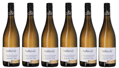 6x 0,75l - 2023er - Hattemer - Gau-Algesheimer Johannisberg - Sauviignon Blanc - Qualitätswein Rheinhessen - Deutschland - Weißwein trocken 6x 0,75l - 2023er - Hattemer - Gau-Algesheimer Johannisberg - Sauviignon Blanc - Qualitätswein Rheinhessen - Deutschland - Weißwein trocken von Hattemer