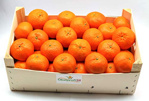 Obstprofi24 - Premium Clementinen frisch, süß, saftig und sehr aromatisch Obst & Gemüse 5kg von Haylife