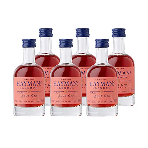 Hayman‘s Sloe Gin 26% Vol.| Schleehengin|Hayman's of London|Angenehme Wacholder- und Kräuteraromen mit einer bitter-süßen Fruchtigkeit|Gin Masters Gold Award | Mini| Tasting|Geschenkkorbidee|50ml von Haymans