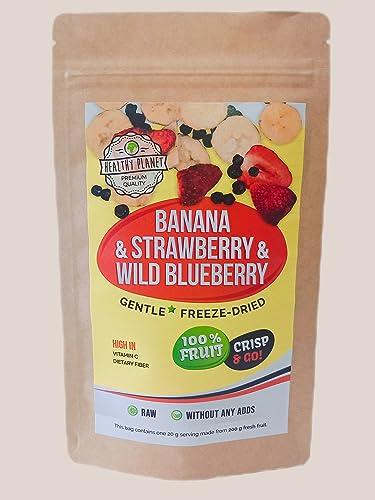Healthy Planet Banana & Strawberry & Wild blueberry gentle freeze dried fruit | 20g Früchte in Scheiben, 100% Trockenfrüchte - natürlich und ohne Zusatz von Zucker oder Zusatzstoffen | 20g von Healthy Planet Premium quality