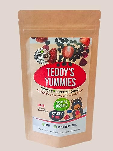 Healthy Planet Teddy's Yummies gentle freeze dried fruit | 20g Früchte in Scheiben, 100% Trockenfrüchte - natürlich und ohne Zusatz von Zucker oder Zusatzstoffen | 20g von Healthy Planet Premium quality
