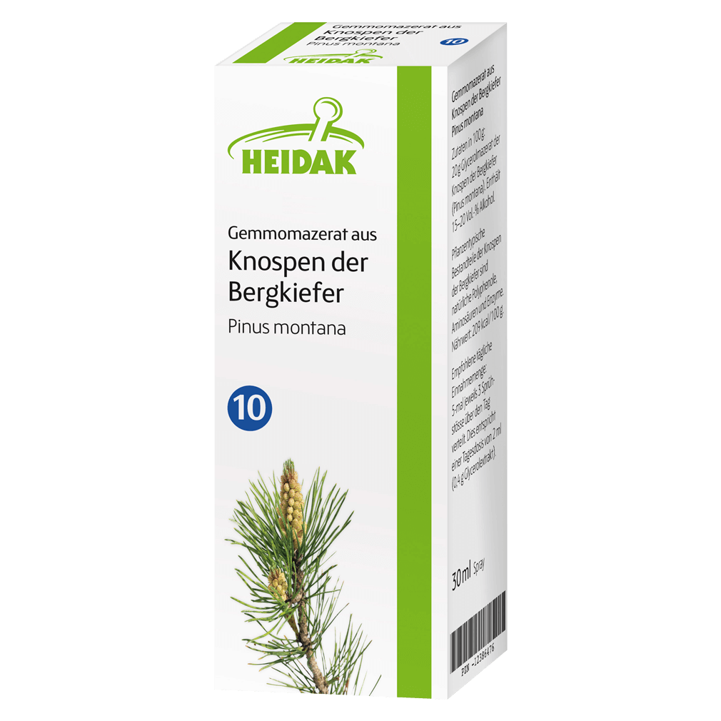 Gemmomazerat aus Knospen der Bergkiefer Gemmomazerat aus Knospen der Bergkiefer von Heidak