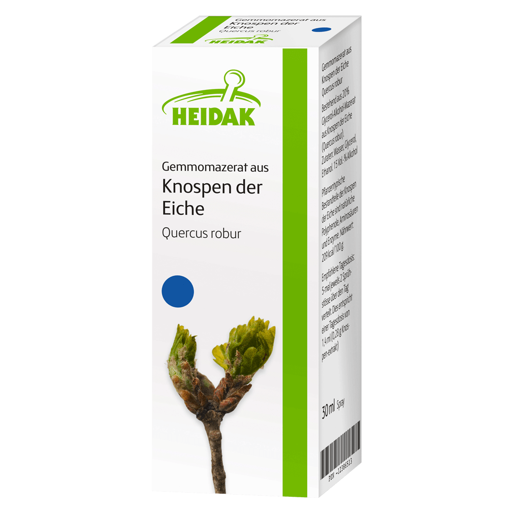 Gemmomazerat aus Knospen der Eiche Gemmomazerat aus Knospen der Eiche von Heidak