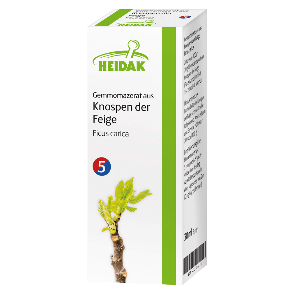 Gemmomazerat aus Knospen der Feige Gemmomazerat aus Knospen der Feige von Heidak
