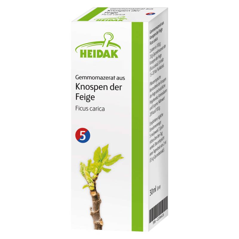 Gemmomazerat aus Knospen der Feige von Heidak