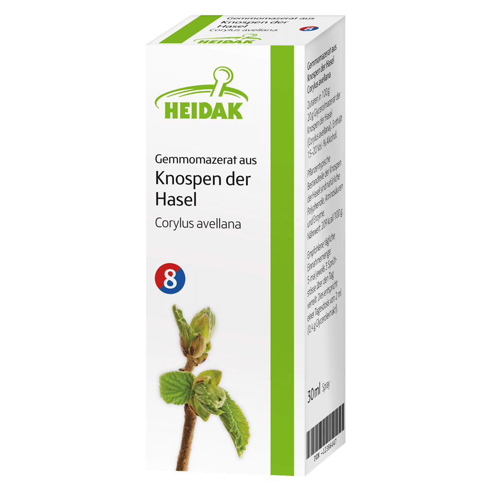 Gemmomazerat aus Knospen der Hasel Gemmomazerat aus Knospen der Hasel von Heidak
