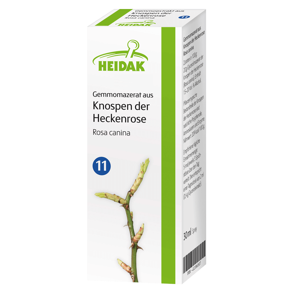 Gemmomazerat aus Knospen der Hecken-Rose Gemmomazerat aus Knospen der Hecken-Rose von Heidak