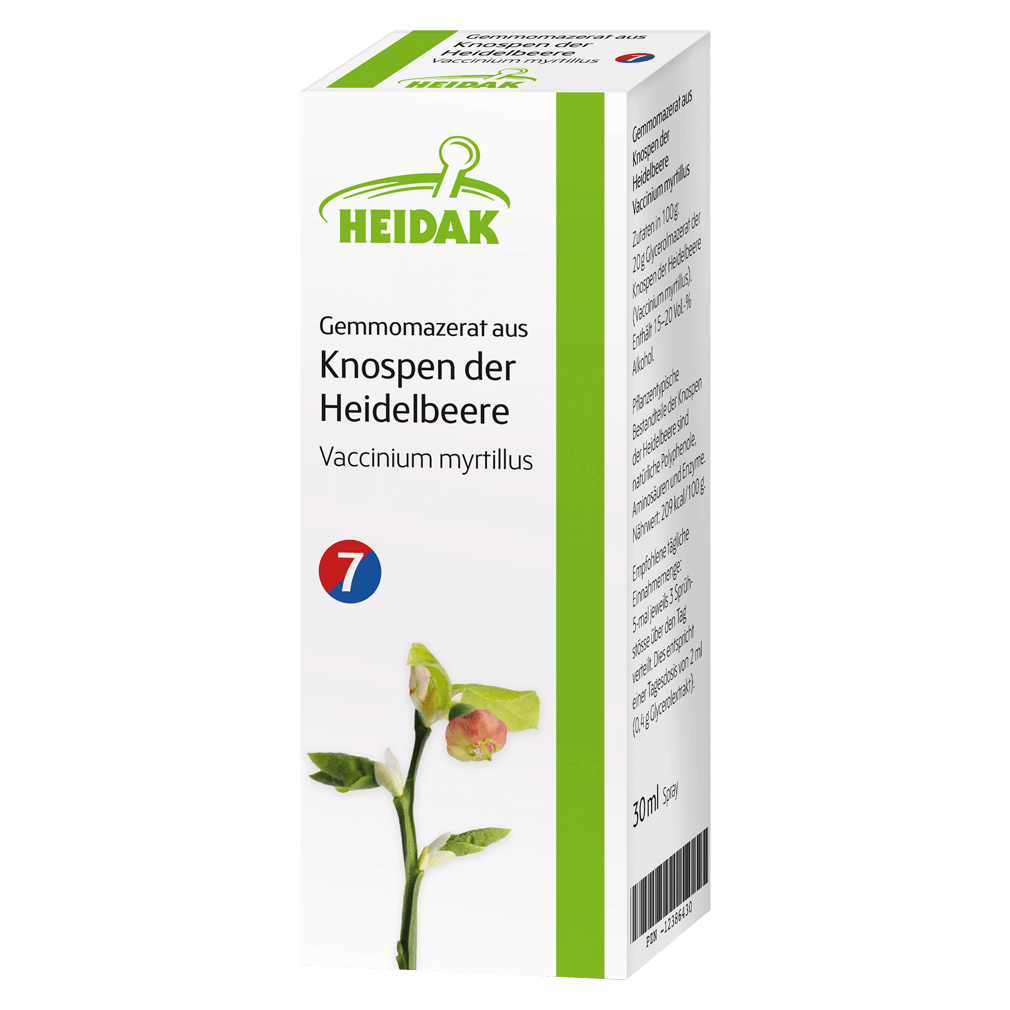 Gemmomazerat aus Knospen der Heidelbeere Gemmomazerat aus Knospen der Heidelbeere von Heidak