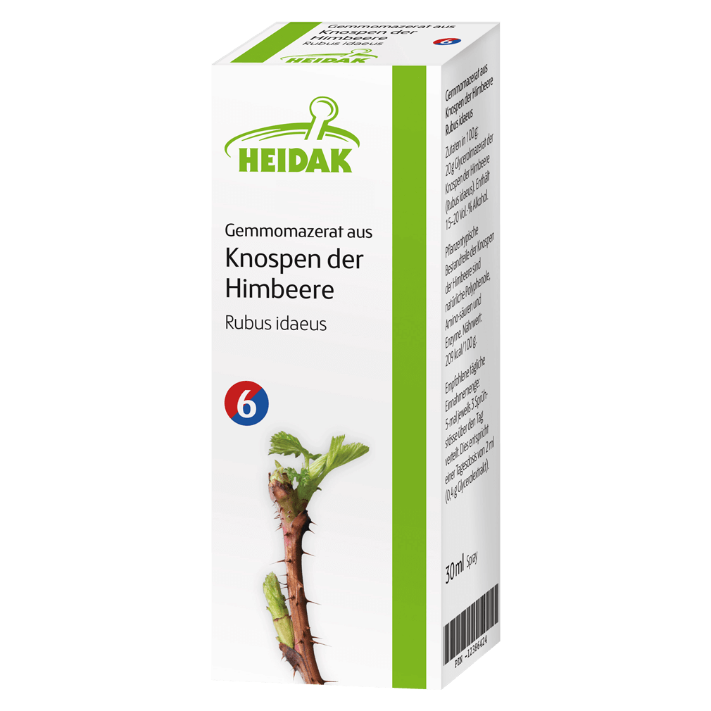 Gemmomazerat aus Knospen der Himbeere Gemmomazerat aus Knospen der Himbeere von Heidak