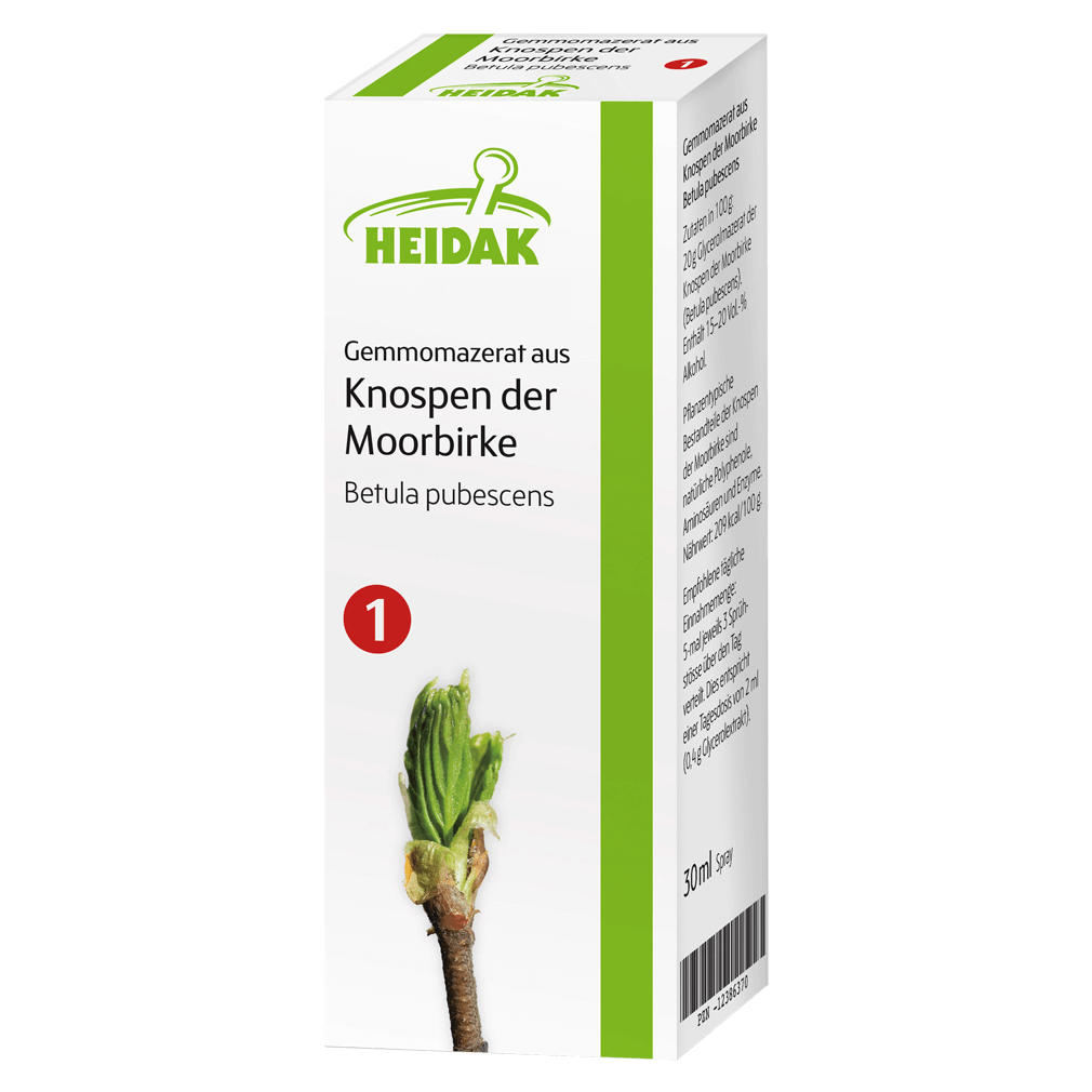 Gemmomazerat aus Knospen der Moorbirke Gemmomazerat aus Knospen der Moorbirke von Heidak