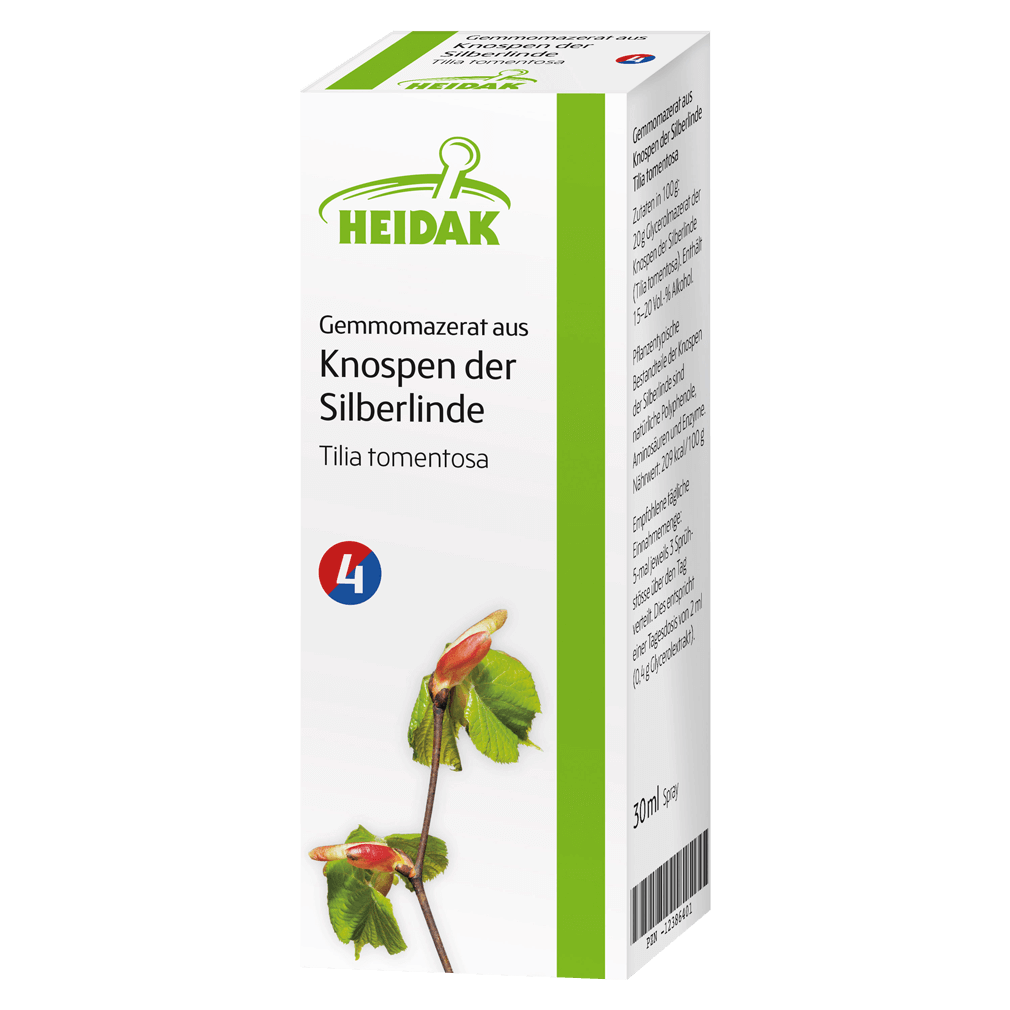 Gemmomazerat aus Knospen der Silberlinde Gemmomazerat aus Knospen der Silberlinde von Heidak