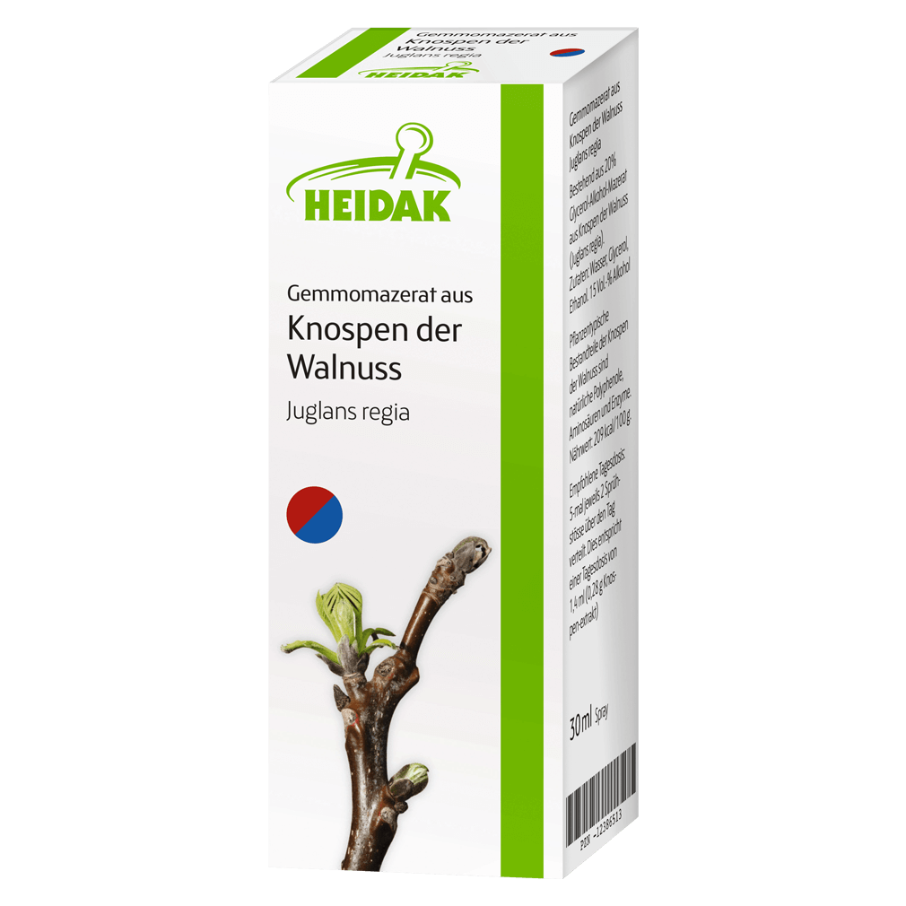 Gemmomazerat aus Knospen der Walnuss, 30ml Gemmomazerat aus Knospen der Walnuss, 30ml von Heidak