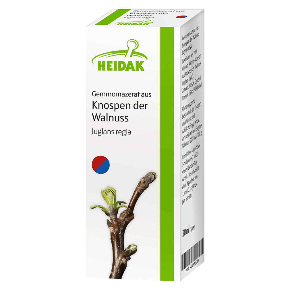 Gemmomazerat aus Knospen der Walnuss, 30ml von Heidak