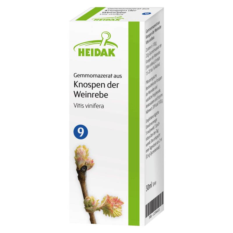 Gemmomazerat aus Knospen der Weinrebe von Heidak