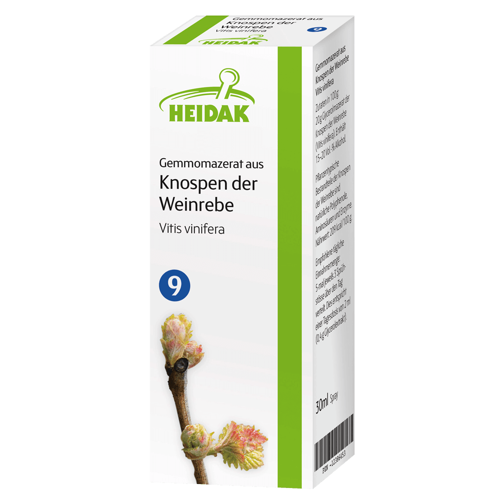 Gemmomazerat aus Knospen der Weinrebe Gemmomazerat aus Knospen der Weinrebe von Heidak