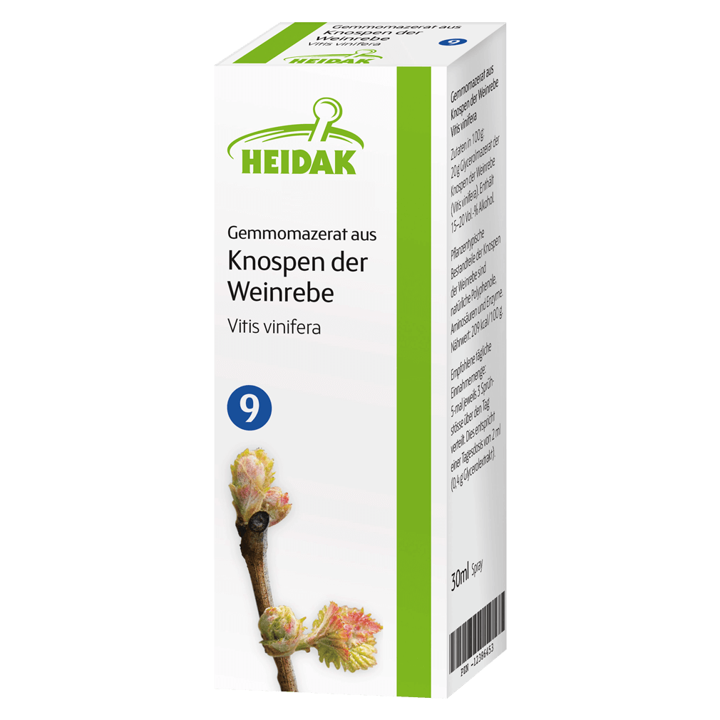 Gemmomazerat aus Knospen der Weinrebe von Heidak