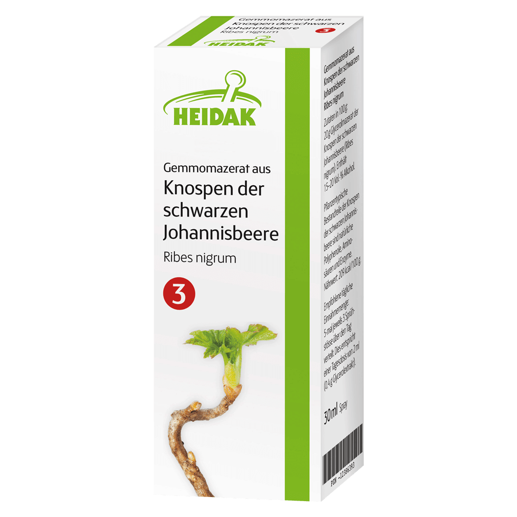 Gemmomazerat aus Knospen der schwarzen Johannisbeere Gemmomazerat aus Knospen der schwarzen Johannisbeere von Heidak