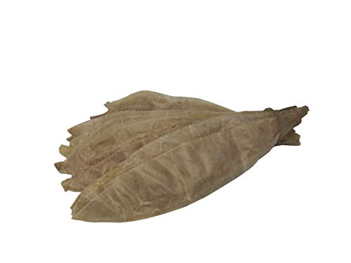 Schweineblasen getrocknet, verschiedene Größen, 10 Stück (20/25 cm) von HEIFO