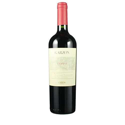 Bodega Garzon Garzon Tannat von Heinz Hein