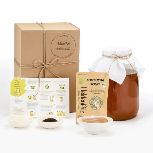 HeldenPilz® | Organic Kombucha Scoby | WACHSTUMSSTARKER TEEPILZ | Skoby + Ansatzflüssigkeit + Geschenk | Herstellung bis 6 Liter | 100% natürliche Zutaten | Bio nachhaltig und plastikfrei verpackt von HeldenPilz