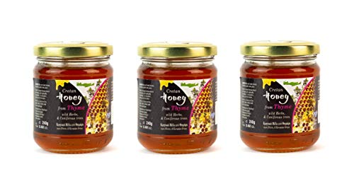 3x 240g Kretischer Thymian & Kräuter Honig - beliebter griechischer Bienenhonig - Set + 10ml Olivenöl zum Test von Hellenikos