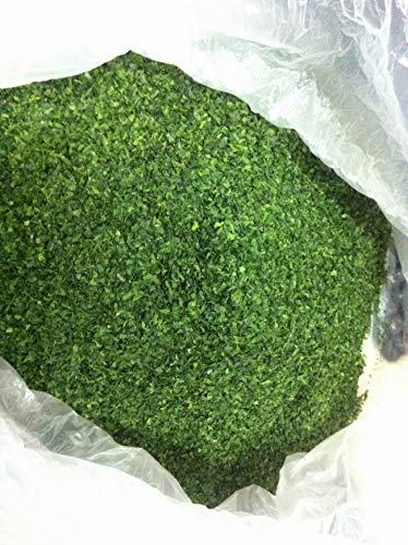 Aonori Ulva Lactuca Seetang, grüne Seetang-Flocken für Lebensmittelzusatz, 80 g, 2 Stück von Hello Seaweed