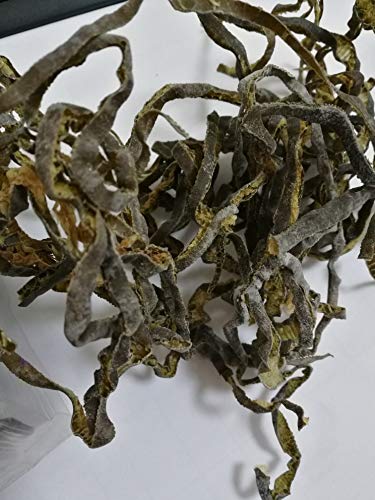 Brown Seaweed,Dried Durvillaea Antarctica/leaf,Braune Meerespflanze, getrocknete Durvillaea Antarktis / Blatt 200g (pack of 1) von Hello Seaweed