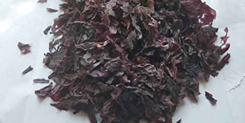 Dried Atlantic Dulse Rhodymenia Palmata 500g/bag von Hello Seaweed