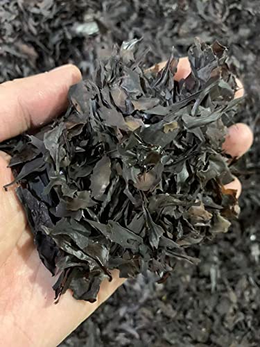Dried Dulse Flakes/Rhodymenia Palmata/Red Algae 100g/3.5 Ounce von Hello Seaweed