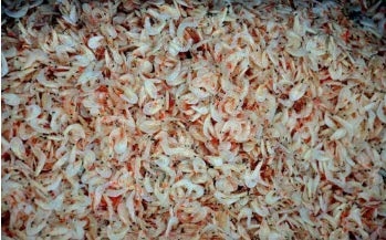 Dried baby shrimp for food 250g/bag von Hello Seaweed