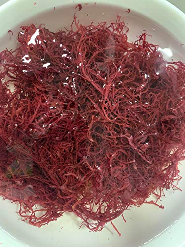 Getrocknete rote Algen (1 Beutel / 200 g) von Hello Seaweed